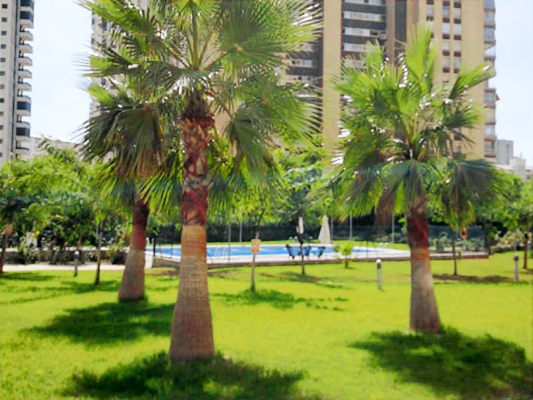 Apartment with pool | Next to the beach | Pets allowed — photo 2