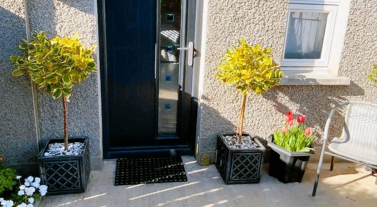 Apartment  Larne
