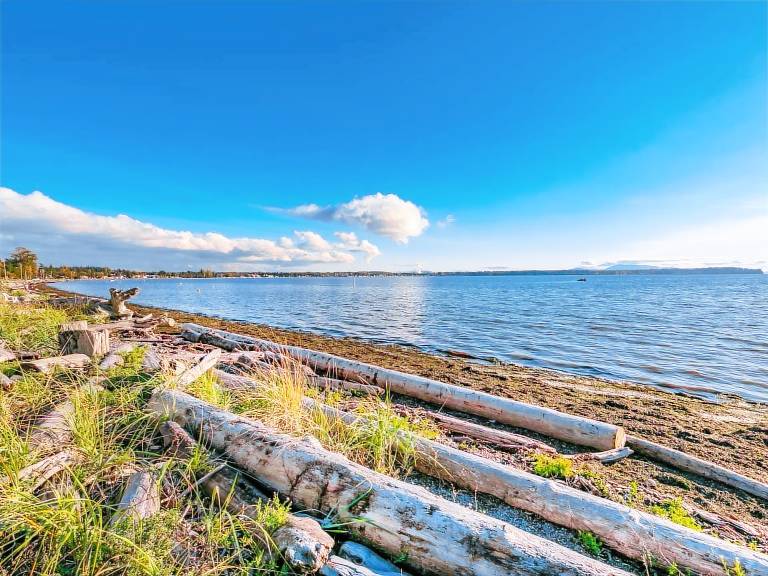 House  Birch Bay