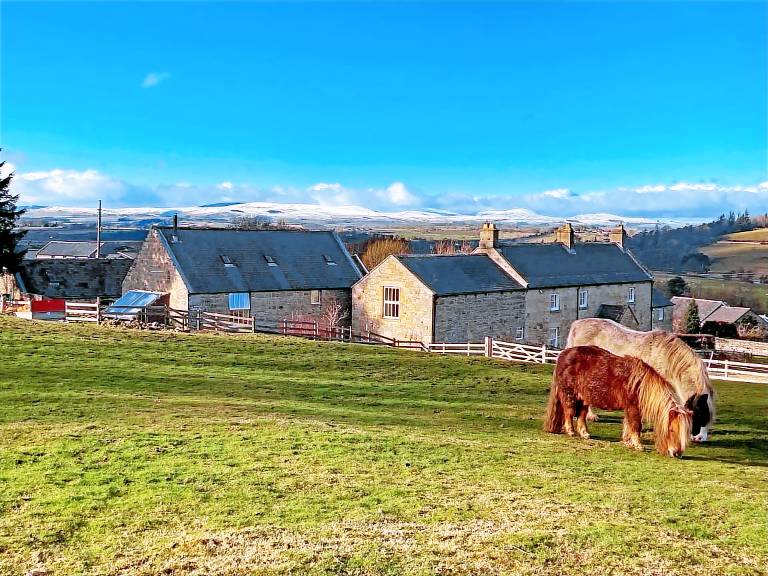 Cottage Rothbury