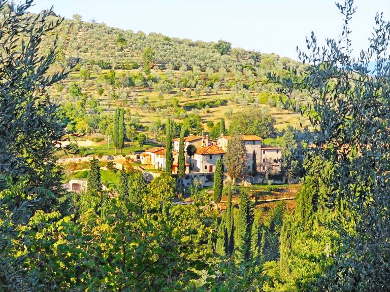 foto2