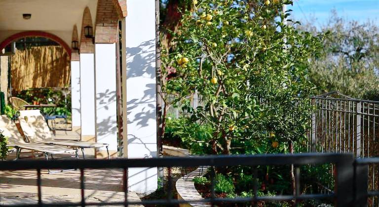 Holiday apartment | Beach nearby | Dogs allowed — photo 4