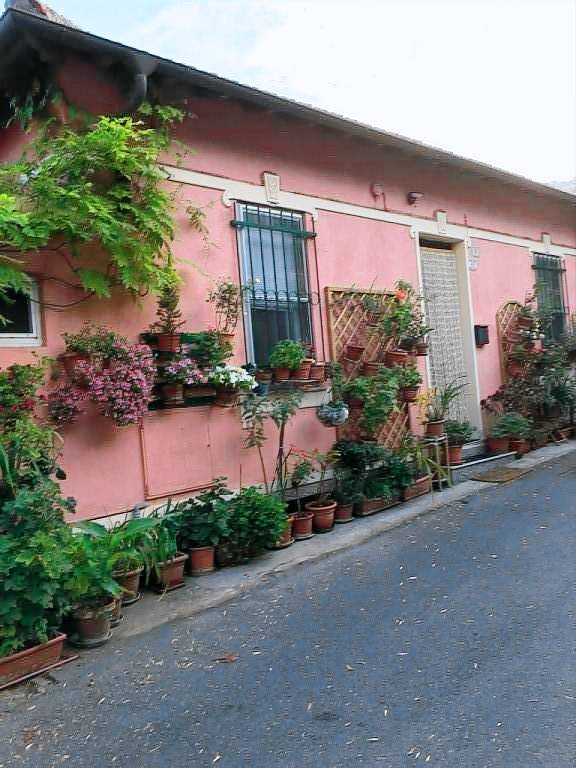Children-friendly villa | Nature view | Dogs allowed — photo 2
