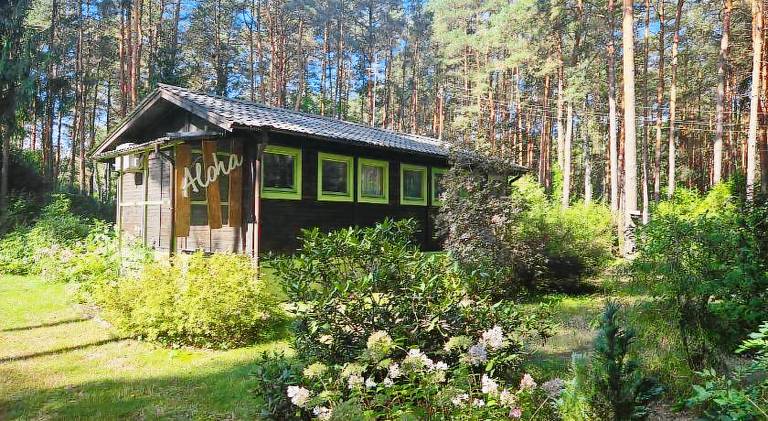 Beautiful vacation home with pool | Pets are welcome in Minsk