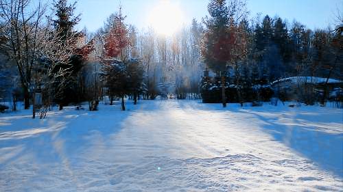 Camping Walkenried