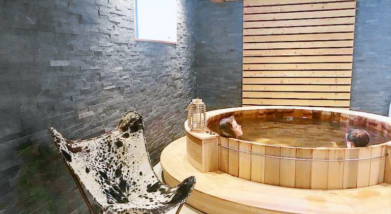 Serviced apartment with garden, sauna & terrace | Close to the ski | Pets are welcome in Chamonix-Mont-Blanc
