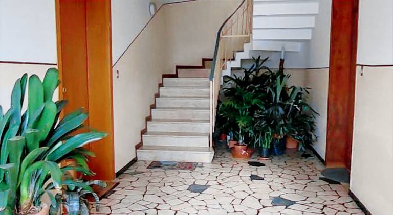 Rental apartment | Dogs allowed — photo 3