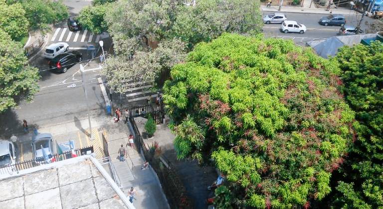 Apartment | Pets are welcome in Salvador