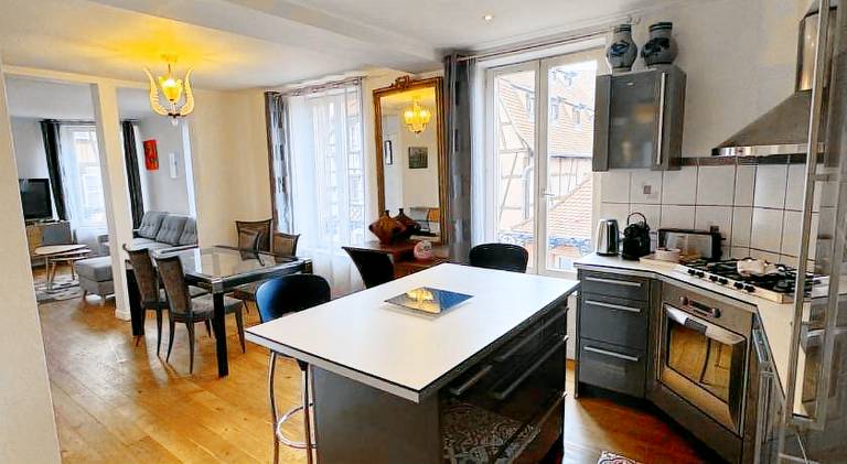 Beautiful rental apartment | Pet-friendly in Colmar