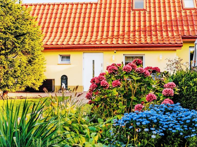 Fully equipped lovely house with terrace, garden & barbeque | Nature view | Close to the beach | Pets allowed — photo 4