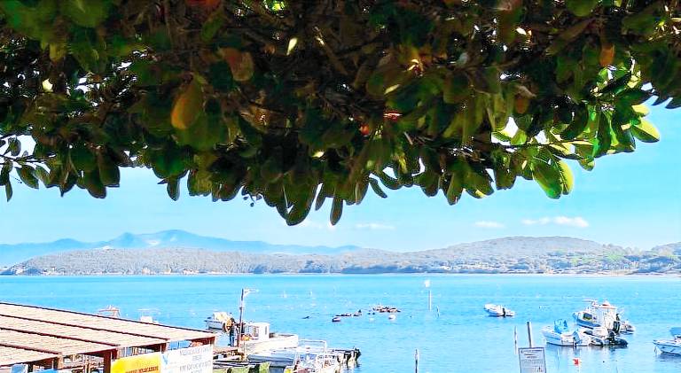 Wonderful holiday apartment | Close to the beach | Dogs allowed — photo 5