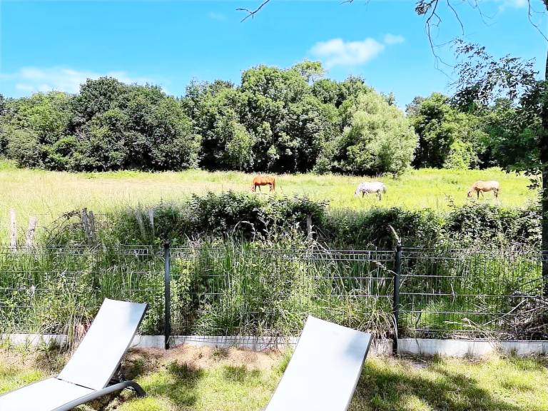 Wonderful mobile home with garden, BBQ & terrace | Dogs allowed — photo 2