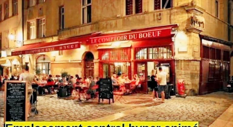 La Cachette St Jean, Calme et Serenite Vieux Lyon — photo 5