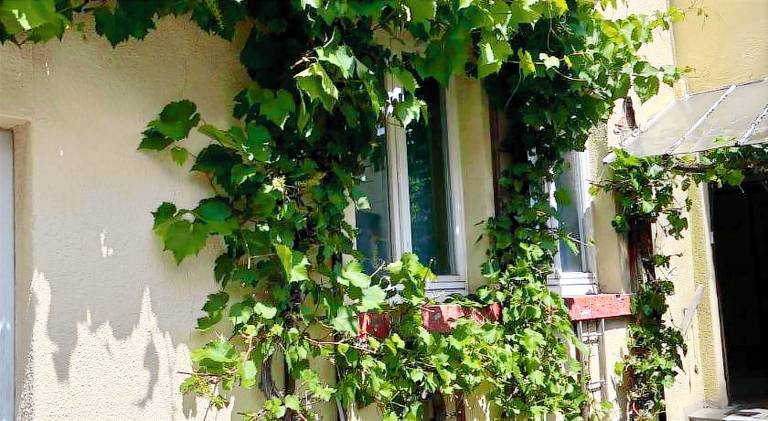 Apartment | Pet-friendly in Kelkheim