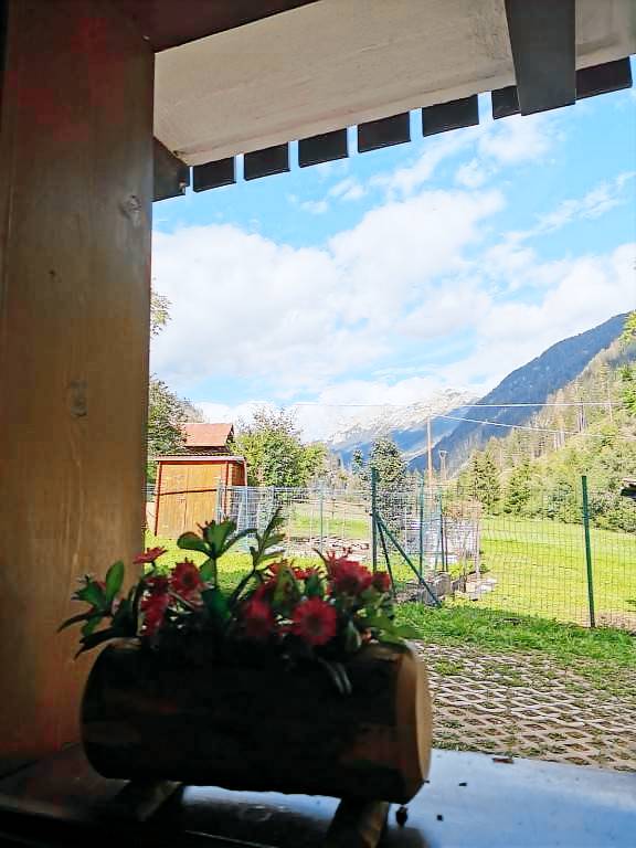foto5
