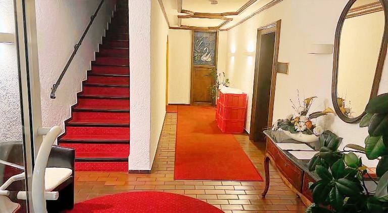Hotel Schwan — photo 5