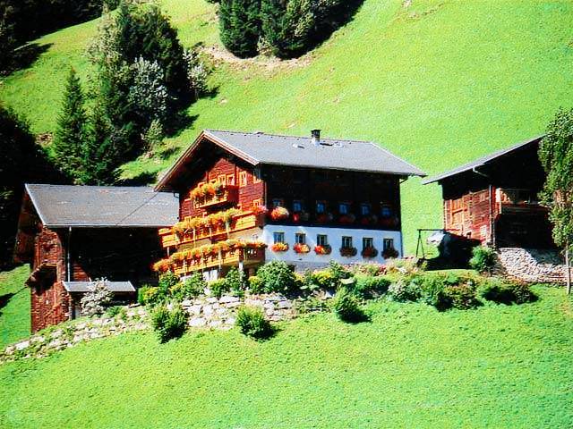 foto1