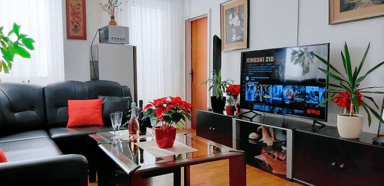 Holiday apartment with terrace, yard & barbecue | Garden view — photo 4