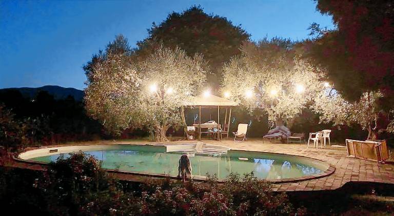 Rental apartment with pool — photo 3