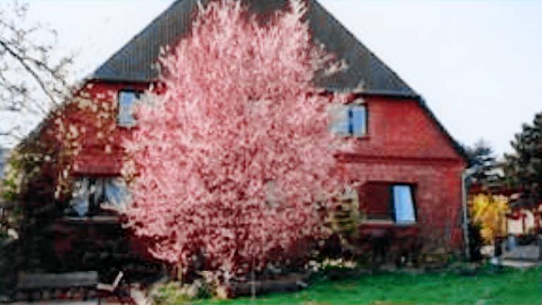 Ferienwohnung Schaalsee