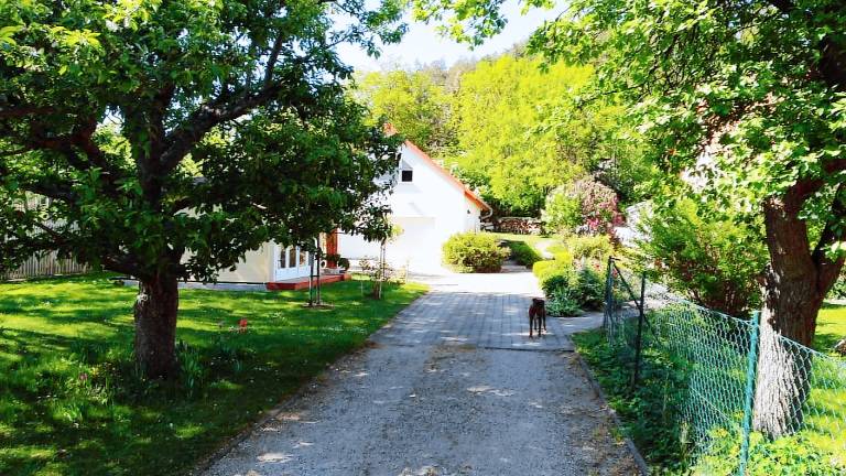 Ferienhaus Branchewinda