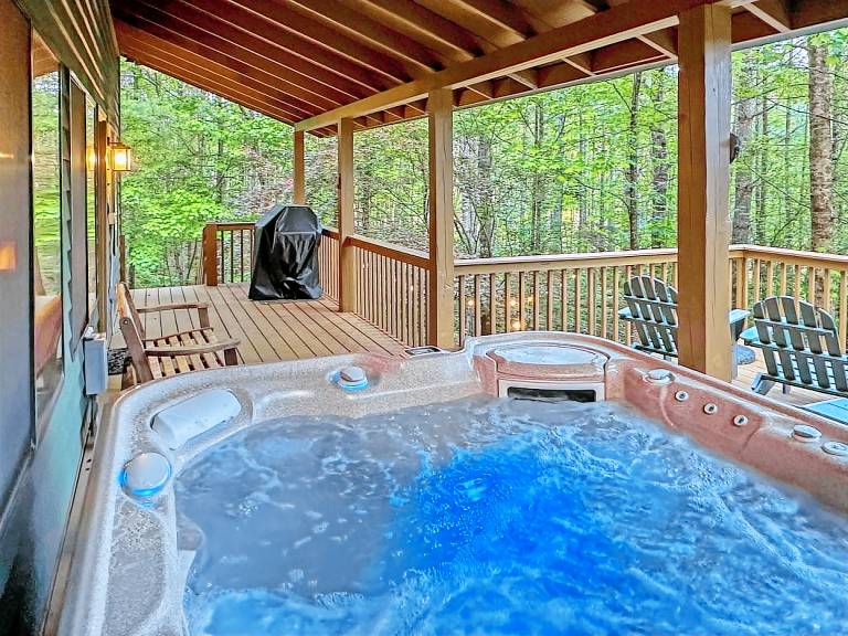 Bear s Den Nantahala Gorge seclusion and convenience