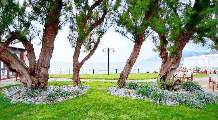 Fully equipped villa with private pool, barbecue & terrace | Close to the beach | Suitable for remote work | Pets are welcome — photo 4
