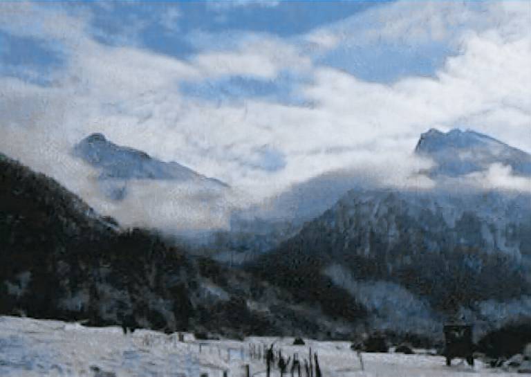 Ferienwohnung Hinterstein