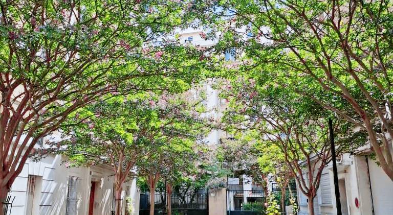 Very nice private Appartment 1 living room with sofa bed 1 bedroom 1 bathroom with toilet 1 Kitchen — photo 4