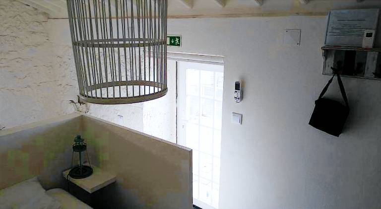 foto17