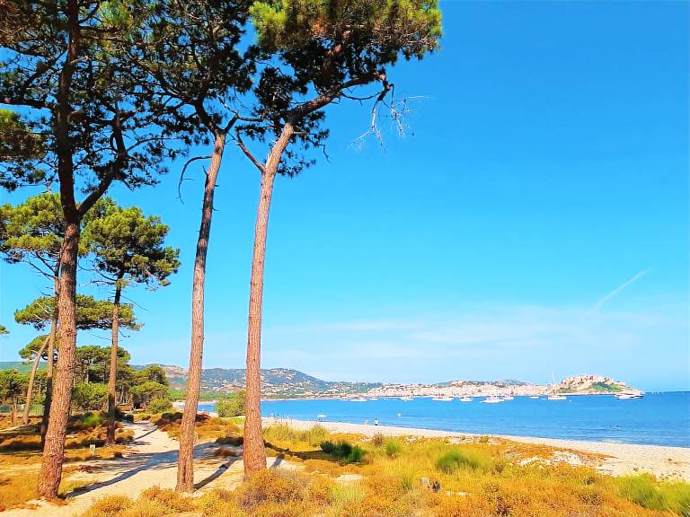 Camping Calvi