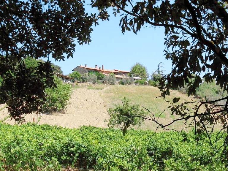 Poggio al vento in Val d'Orcia: Oleandro — photo 4