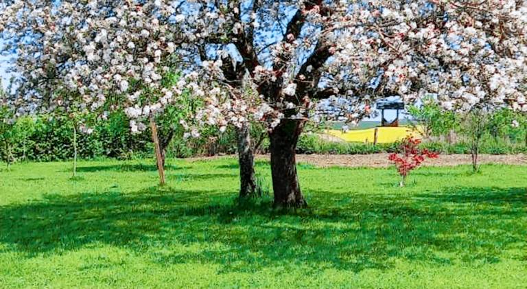 Aux trois petites notes