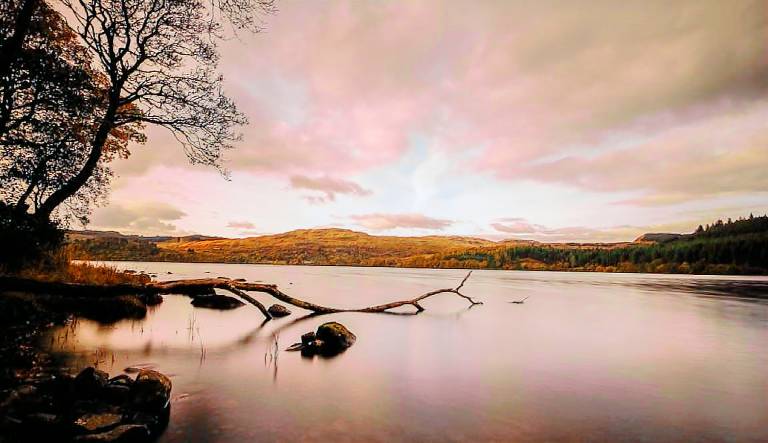 Cabin  Argyll and Bute