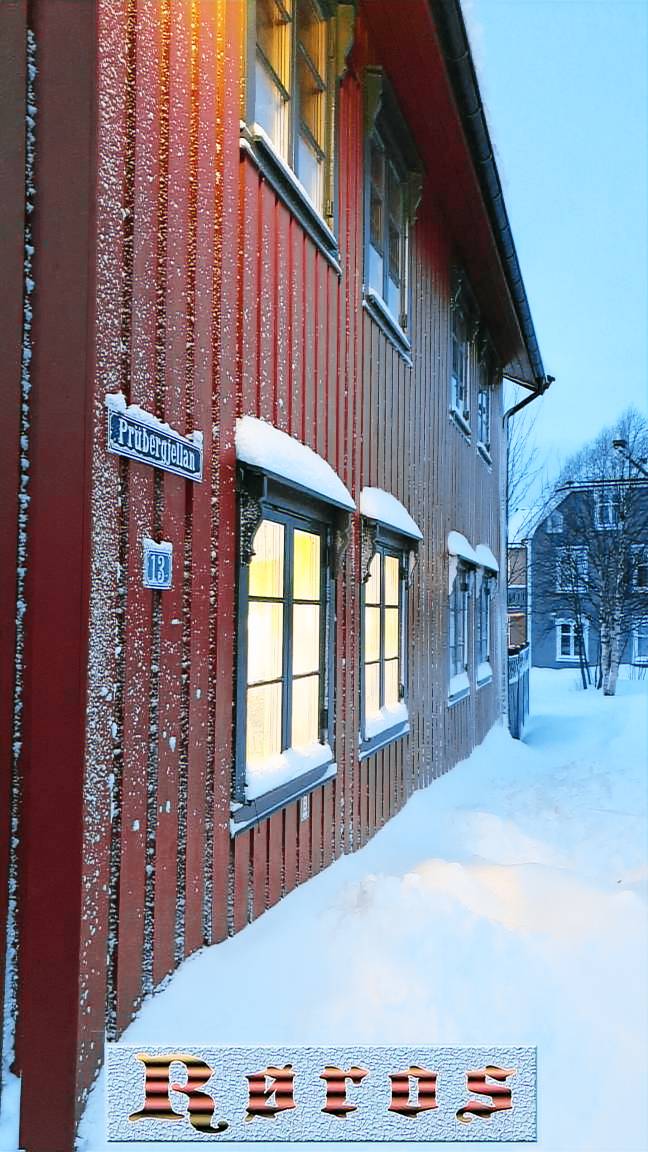 Leilighet Røros