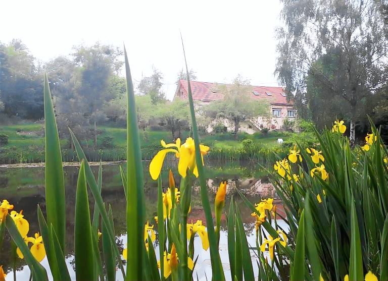 Holiday Home “Gîte for 18 People with Pond” with Lake View in Riom
