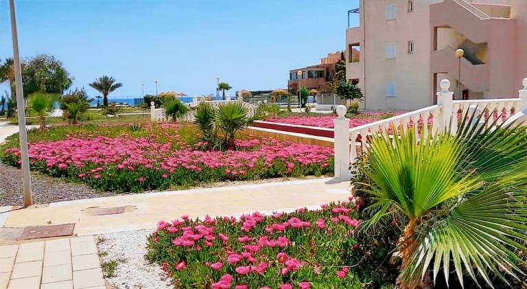 Wonderful rental apartment with pool & terrace | Next to the beach | Dogs allowed in Playas