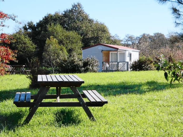 Lovely gite with yard, patio & pool | Dogs allowed — photo 5