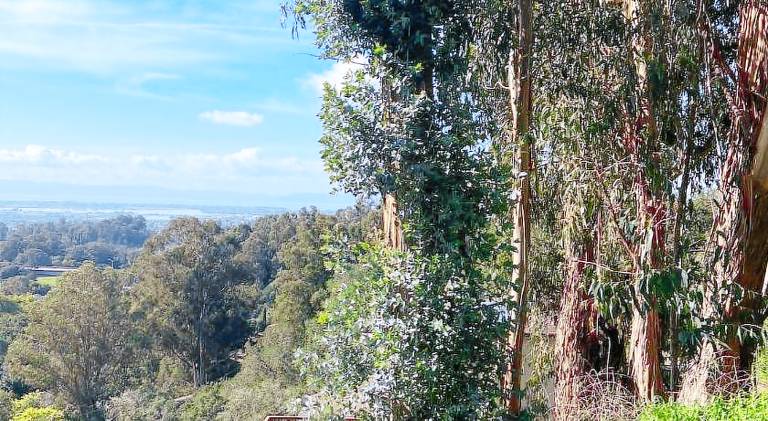 56 m&sup2; Ferienwohnung