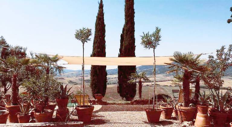 Rental apartment with 1 room for 4 persons in Terricciola