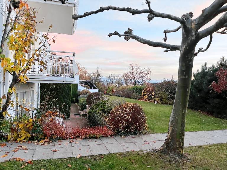 Nice holiday apartment with terrace & garden | Pet-friendly — photo 4