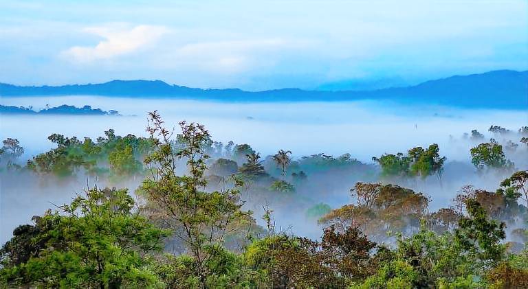 Jade Hills Coorg