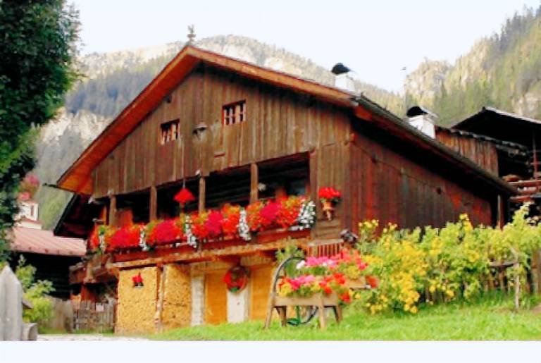 Holiday apartment | Pets allowed in Canazei