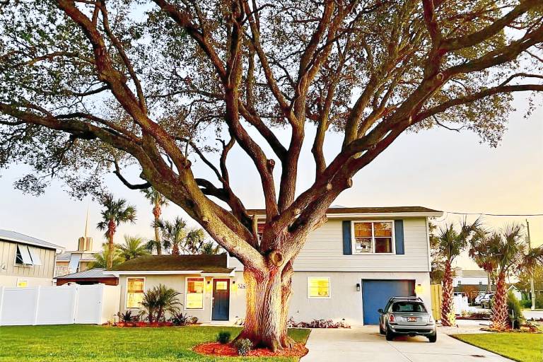 Jax Beach Treehouse - Oak — photo 3