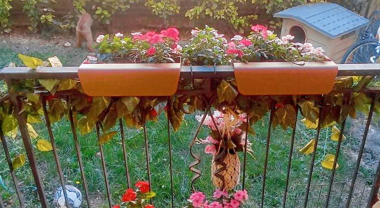 Villa Rosa — photo 5
