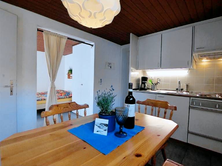 Pleasant holiday apartment with patio & barbeque | Next to the ski | Pet-friendly — photo 5
