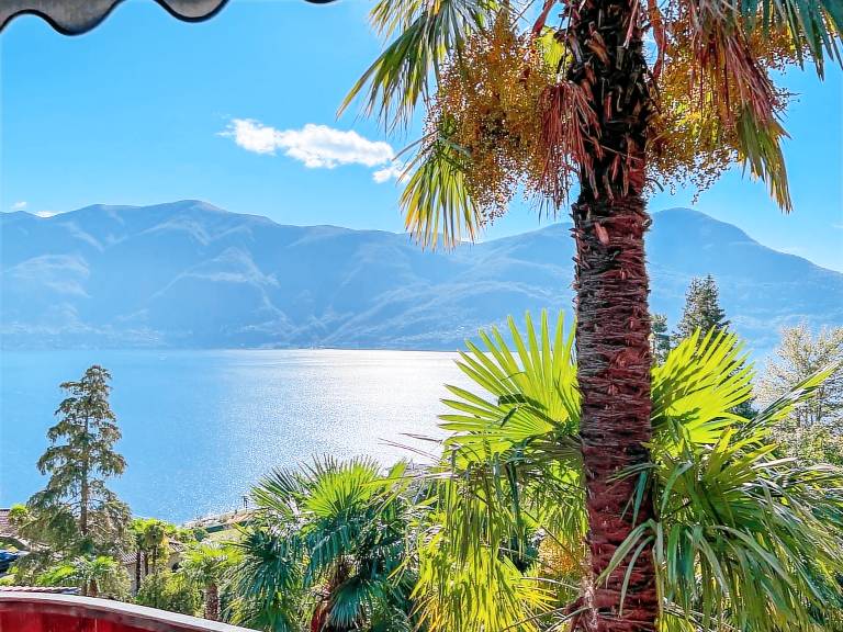 Charming holiday apartment with pool & yard | Mountain view | Pets are welcome — photo 5