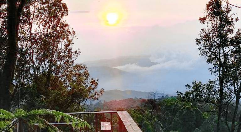 Kubu Waru Bali in Munduk
