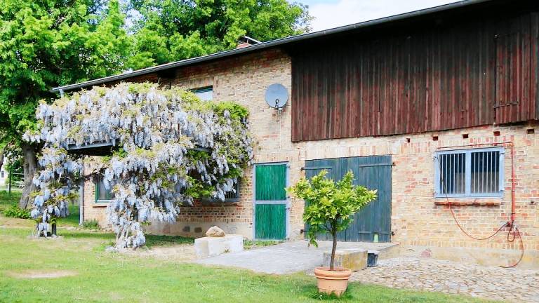 Ferienhaus Zahrensdorf