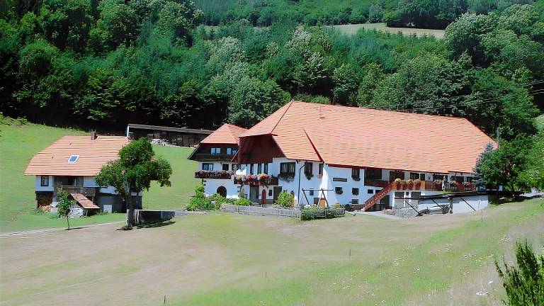 Ferienwohnung Hausach